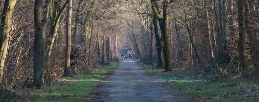 Burn-out herstel behandeling acupunctuur Nijmegen