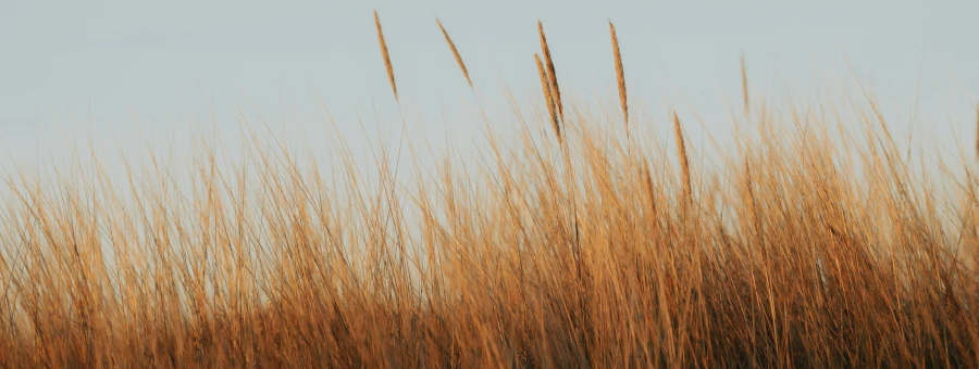 Behandeling van huidklachten bij Dokter Veenstra Nijmegen